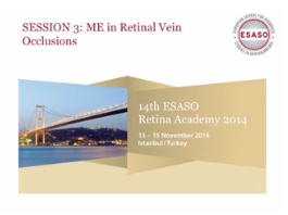 Œdème maculaire dans les occlusions veineuses rétiniennes - OM réfractaires dans l'Occlusion Veineuse Rétinienne (OVR) Œdème maculaire dans les occlusions veineuses rétiniennes - OM réfractaires dans l'Occlusion Veineuse Rétinienne (OVR)