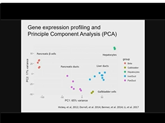 Making New Beta Cells by Reprogramming