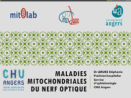 Maladies mitochondriales du nerf optique