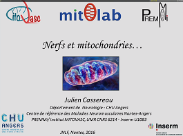 Maladies mitochondriales du nerf périphérique