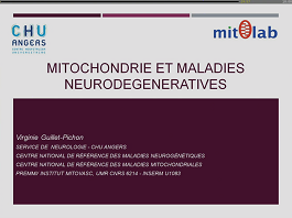 Maladies mitochondriales neurodégénératives