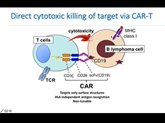 Management of relapsed DLBCL in era of CAR T therapy