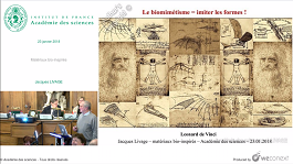 Matériaux bio-inspirés