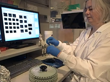 Mayo Clinic Rochester Department of Otolaryngology Head and Neck Surgery Research Opportunities Mayo Clinic Rochester Department of Otolaryngology Head and Neck Surgery Research Opportunities
