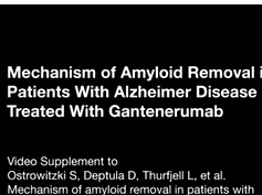 Mechanism of Amyloid Removal in Patients With Alzheimer Disease Treated With Gantenerumab Part 1 Mechanism of Amyloid Removal in Patients With Alzheimer Disease Treated With Gantenerumab Part 1