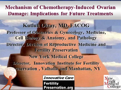 Mechanisms of chemotherapy induced ovarian damage: implications for future treatments Mechanisms of chemotherapy induced ovarian damage: implications for future treatments