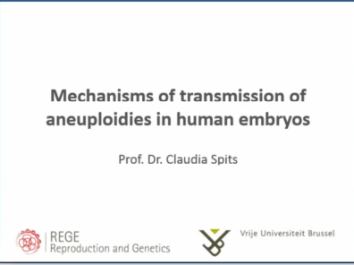 Mechanisms of transmission of aneuploidies in human embryos