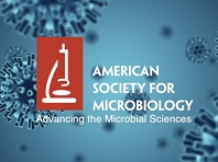 Mega-antibody flu protection, an epidemic calendar, and microbiomes and ethnicity Mega-antibody flu protection, an epidemic calendar, and microbiomes and ethnicity