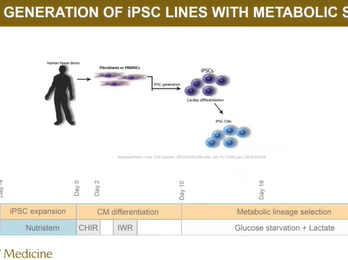 Metabolism and Cardiac Function