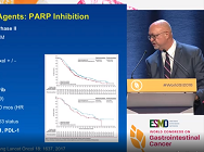 Metastatic gastric cancer: New targeted agents in metastatic gastric cancer
