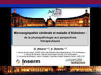 Microangiopathie et maladie d'Alzheimer : de la physiopathologie aux perspectives thérapeutiques