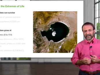 Microbial Life in Extreme Environments _ Microbiology _ Lecturio