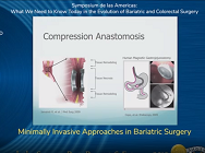 Minimally Invasive Approaches in Bariatric Surgery