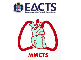 Minimally invasive surgical Jarvik 2000 off-pump implantation
