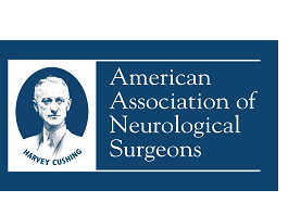 Minimally invasive transforaminal lumbosacral interbody fusion