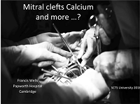 Mitral clefts, calcium and more