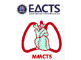 Mitral valve annuloplasty