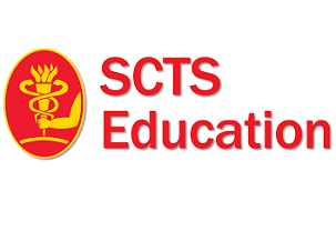 Mitral valve hybrid philosophy