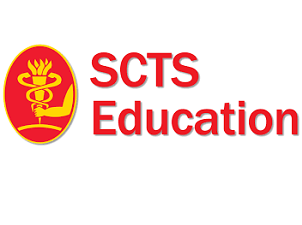 Mitral valve respect philosophy