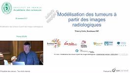 Modélisation des tumeurs à partir des images radiologiques Modélisation des tumeurs à partir des images radiologiques