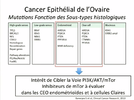 Modifications de la stratégie thérapeutique du cancer de l'ovaire en fonction du profil moléculaire Modifications de la stratégie thérapeutique du cancer de l'ovaire en fonction du profil moléculaire