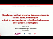 « Modulation rapide et réversible des comportements liés aux douleurs chroniques grâce à la manipulation par la lumière de récepteurs endogènes dans l’amygdale » « Modulation rapide et réversible des comportements liés aux douleurs chroniques grâce à la manipulation par la lumière de récepteurs endogènes dans l’amygdale »