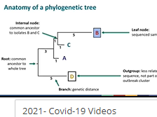 Module 1.3 - How to read a phylogenetic tree Module 1.3 - How to read a phylogenetic tree