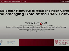 Molecular Pathways in Head and Neck Cancer: EGFR, PI3K, and More Molecular Pathways in Head and Neck Cancer: EGFR, PI3K, and More