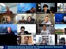 Molecular Phenotypes of Null Alleles in Cells Pilot Project (MorPhic)  RFA