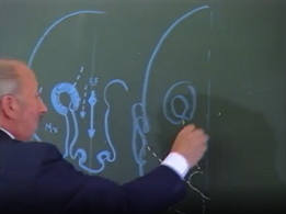 Morphogénèse du palais