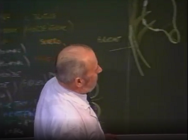 Morphogenèse des arcs branchiaux 3 partie (2)