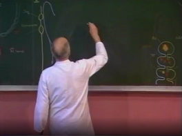 Morphogenèse des arcs branchiaux 3 partie (3)