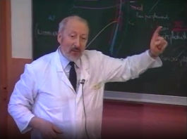 Morphogenèse des arcs branchiaux 3 partie