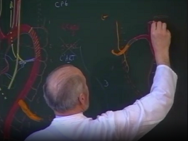Morphogenèse des arcs branchiaux 4 partie