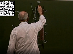 Morphologie du pancréas (1° partie)