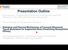MR Image-Guided Transfection of the CNS with Focused Ultrasound and Brain-Penetrating Nanoparticles