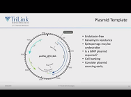 mRNA Manufacturing mRNA Manufacturing
