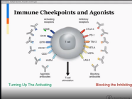 Multiple Myeloma Immunotherapy: Where Are We Now, with Alexander Lesokhin