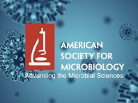 Mutational waves in the E. coli genome
