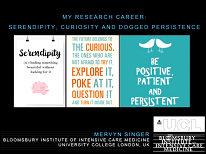 My research: Serendipity, curiosity and dogged persistence  part 1