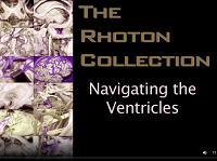 Navigating the Ventricles (3D) Navigating the Ventricles (3D)