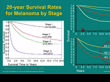 Neoadjuvant Therapy for Melanoma: A Promising Therapeutic Approach and an Ideal Platform in Drug Development Neoadjuvant Therapy for Melanoma: A Promising Therapeutic Approach and an Ideal Platform in Drug Development