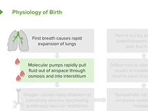 Neonatology (Newborn Medicine): Introduction - Pediatrics