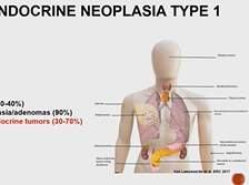 NETS Risk Factors - Lauren Fishbein
