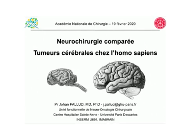Neurochirurgie comparée : tumeurs cérébrales chez l'homo sapiens Neurochirurgie comparée : tumeurs cérébrales chez l'homo sapiens