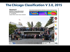 Neurogastroenterology and Motility, iMed Conference, Lisbon 2020