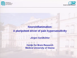 Neuroinflammation, a pluripoten driver of pain hypersensitivity Neuroinflammation, a pluripoten driver of pain hypersensitivity