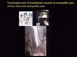 Neurologist views of translational research on neuropathic pain Neurologist views of translational research on neuropathic pain