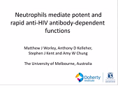 Neutrophils mediate potent and rapid anti-HIV antibody-dependent functions Neutrophils mediate potent and rapid anti-HIV antibody-dependent functions