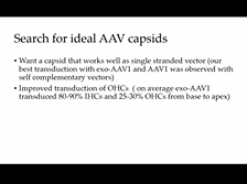 New AAVs for Sensory Organ Targeting - Casey Maguire